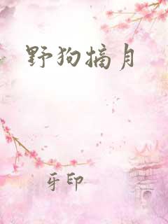 野狗摘月