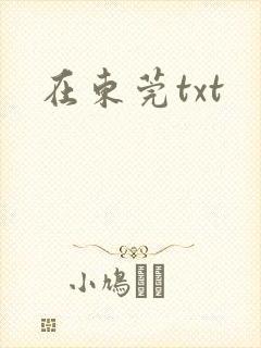 在东莞txt