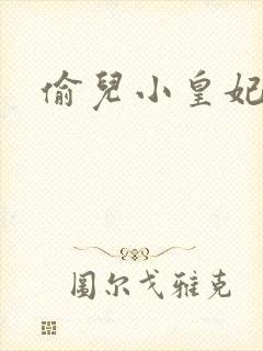 偷儿小皇妃