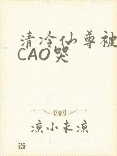 清冷仙尊被强制CAO哭