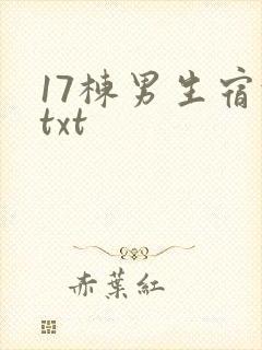 17栋男生宿舍txt