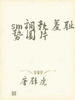 sm调教羞耻姿势图片