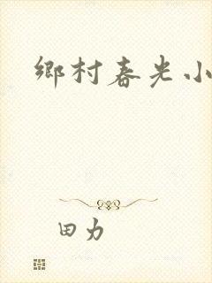 乡村春光小说