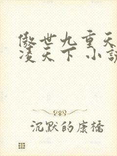 傲世九重天 风凌天下 小说