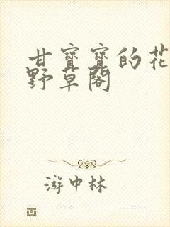 甘宝宝的花苞澜野草阁