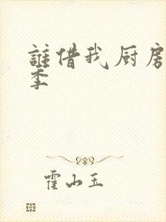 谁借我厨房第三季