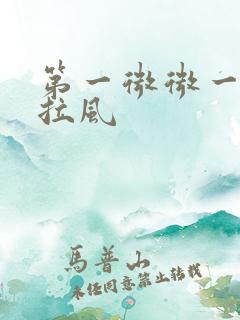 第一微微一笑很拉风