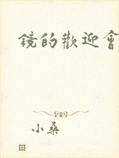 镜的欢迎会黄本