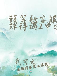 头等舱客服的特殊待遇2中字