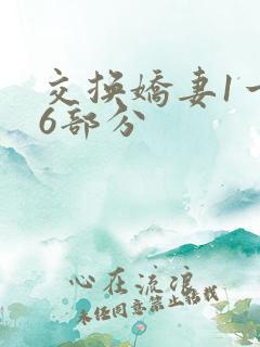 交换娇妻1一36部分