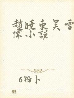 赵晓东吴雪晴郑伟小说