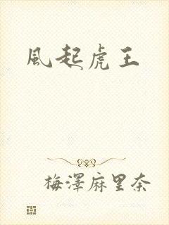 风起虎王