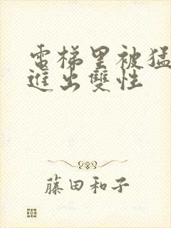 电梯里被猛烈的进出双性