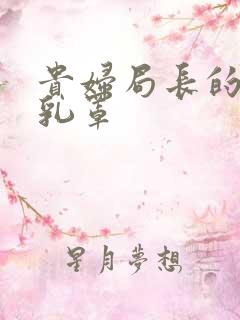 贵妇局长的蕾丝乳罩