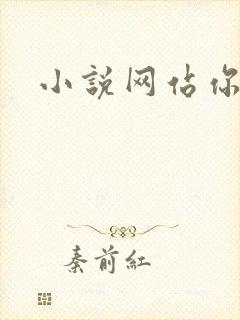 小说网站你懂的