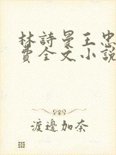 林诗曼王忠文免费全文小说的名称