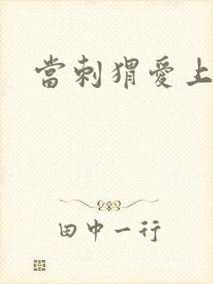 当刺猬爱上玫瑰