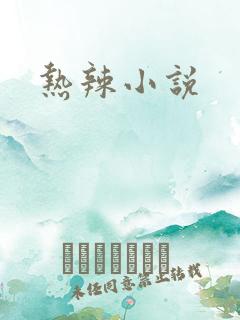 热辣小说