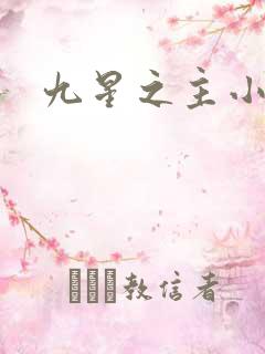 九星之主小说