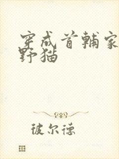 穿成首辅家的小野猫