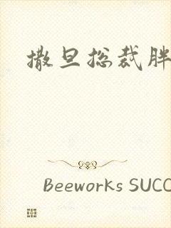 撒旦总裁胖前妻