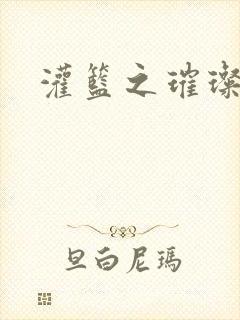 灌篮之璀璨生涯