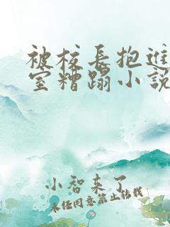 被校长抱进办公室糟蹋小说