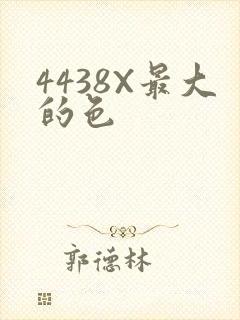 4438X最大的色