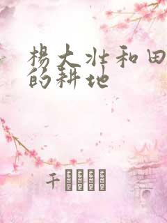 杨大壮和田桂花的耕地