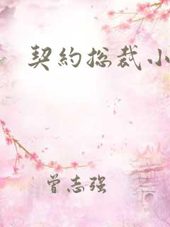 契约总裁小萌宝