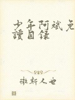 少年阿斌免费阅读目录