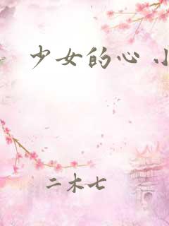 少女的心 小说