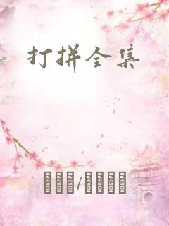 打拼全集