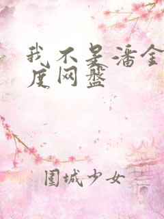 我不是潘金莲百度网盘