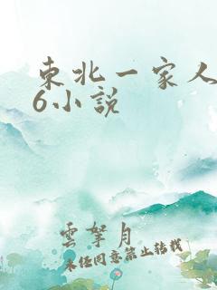 东北一家人1一6小说