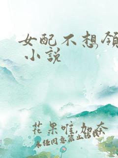 女配不想领便当 小说