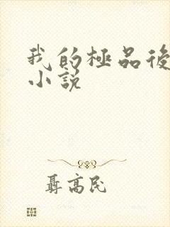 我的极品后宫 小说