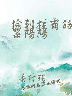 捡到校霸的遥控器阳阳