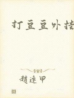 打豆豆外挂