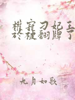 权宠刁妃王爷终于被翻牌了