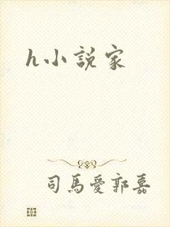 h小说家