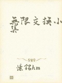 无限交换小说全集