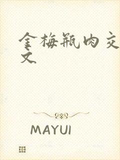 金梅瓶肉交白话文