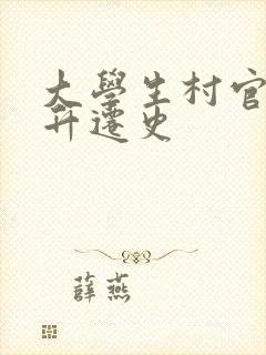 大学生村官艳遇升迁史