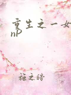 重生之一女九龙nP