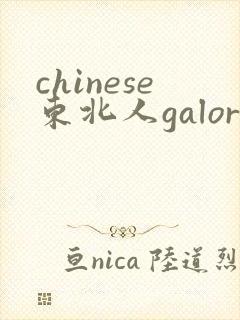 chinese东北人galore