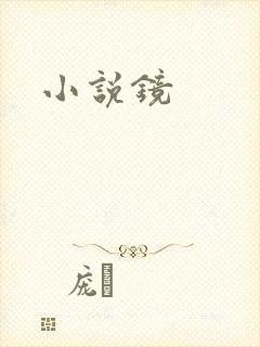 小说镜