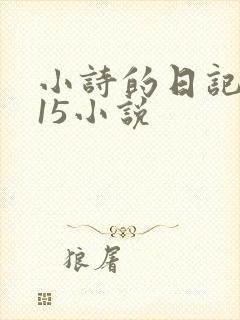 小诗的日记1一15小说