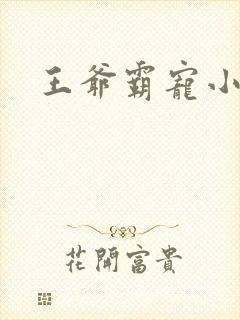 王爷霸宠小甜妻