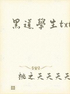 黑道学生txt